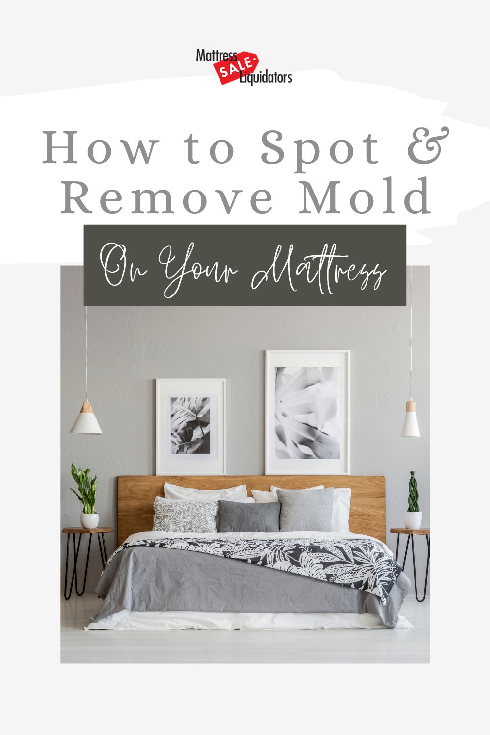 how-to-get-mold-out-of-a-car-effective-solutions