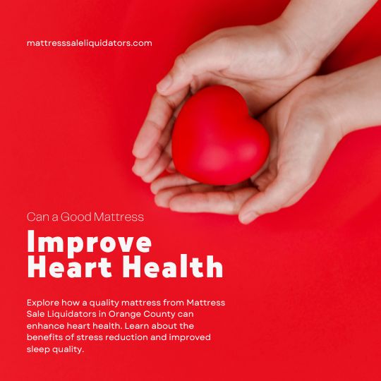 image-of-a-hand-holding-a-heart-blog-title-Can-a-Good-Mattress-Improve-Heart-Health